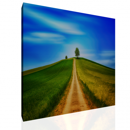 Outdoor scene - Image 7