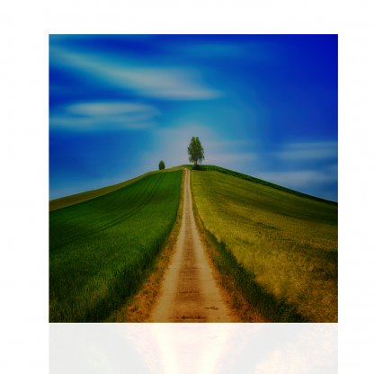 Outdoor scene - Image 6