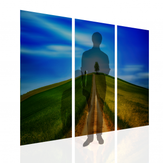 Outdoor Scene Multibanner Backdrop