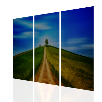 Outdoor Scene Multibanner Backdrop - Image 2